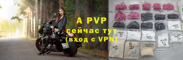 стаф Верхний Тагил