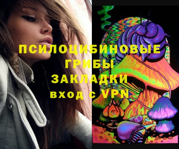 стаф Верхний Тагил