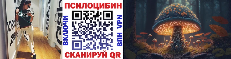 наркота  Курган  Галлюциногенные грибы Psilocybine cubensis 